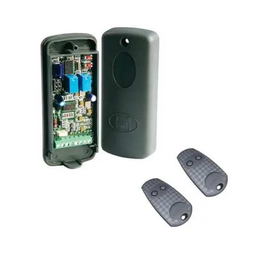 CAME RE432 kit receptor y mandos